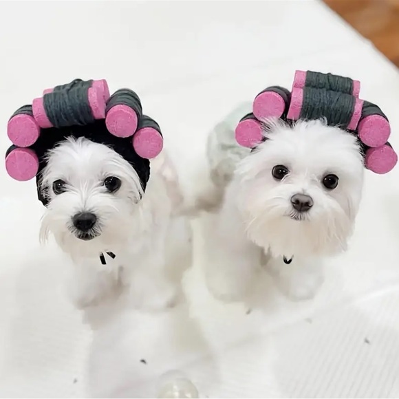 Cozy Cat or dog Hair Curlers costume NWT - Picture 4 of 6